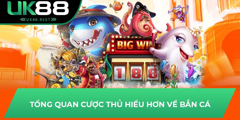 Tổng quan cược thủ hiểu hơn về bắn cá