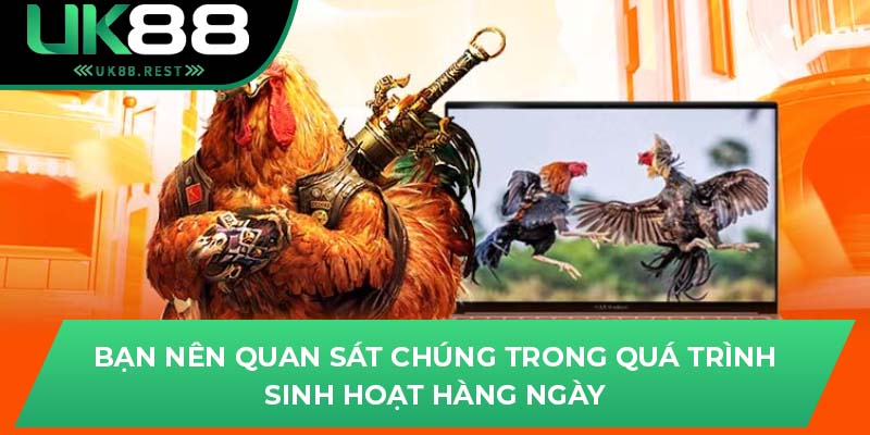 Bạn nên quan sát chúng trong quá trình sinh hoạt hàng ngày