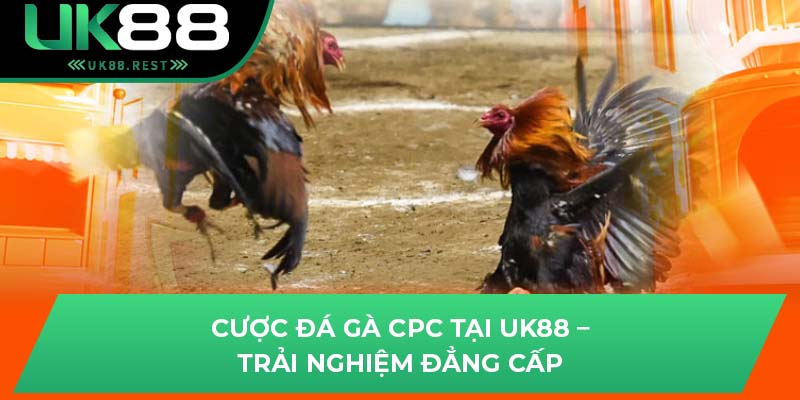 Cược đá gà CPC tại UK88 – Trải nghiệm đẳng cấp