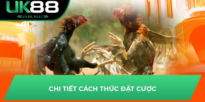 Chi tiết cách thức đặt cược