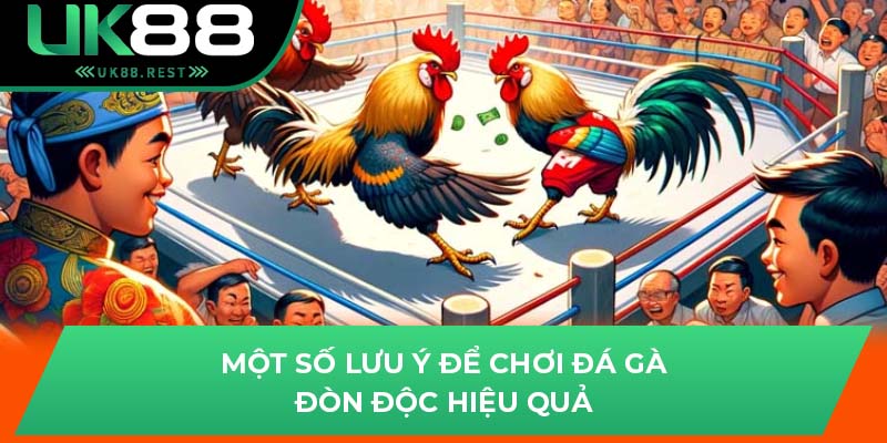 Một số lưu ý để chơi đá gà đòn độc hiệu quả