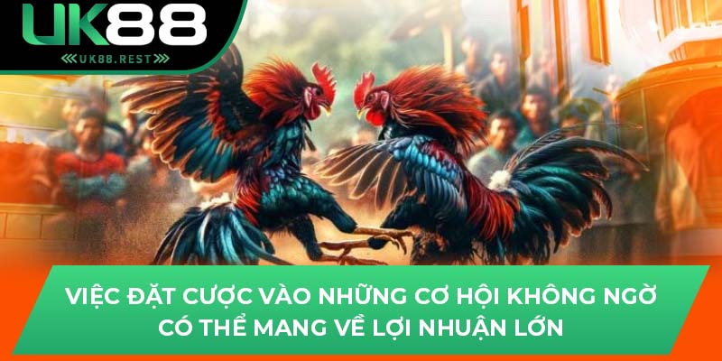 Việc đặt cược vào những cơ hội không ngờ có thể mang về lợi nhuận lớn